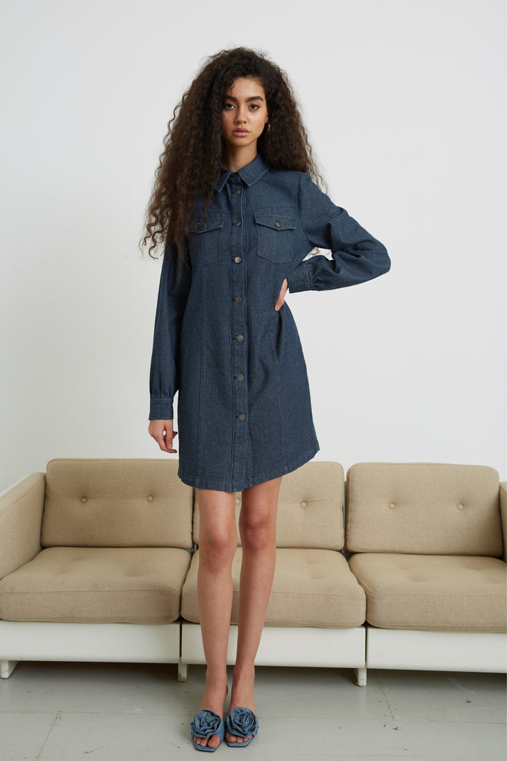 Bruuns Bazaar Women CloudberryBBMagnea dress Dress Blue Denim