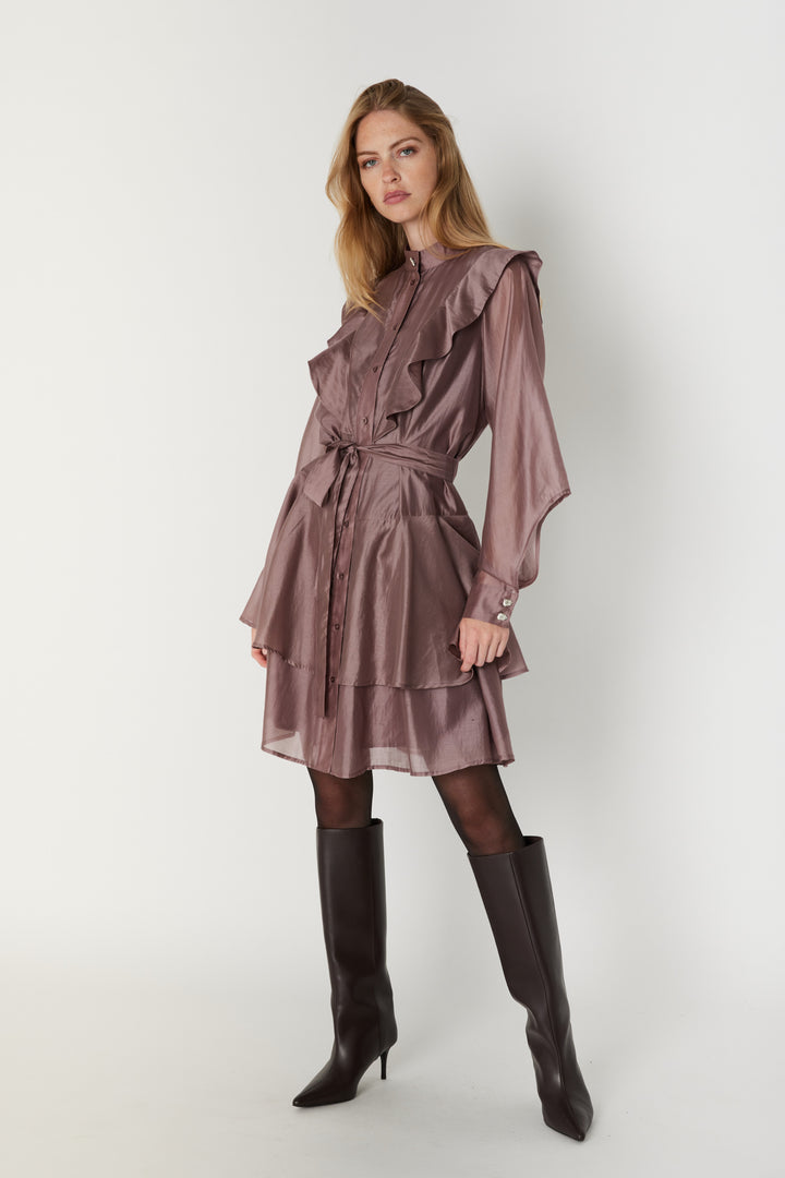 Bruuns Bazaar Women DesmoncusBBVicha dress Dress Twilligth Mauve